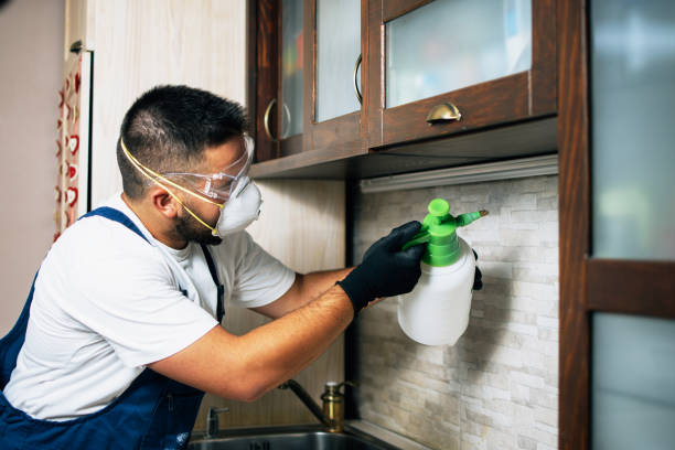 Best Best Pest Control Companies  in Fairview, TN