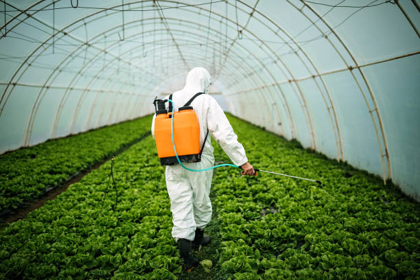 Best Pest Removal Services  in Fairview, TN