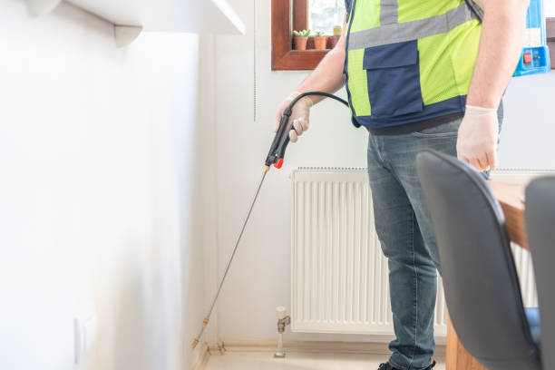 Best Local Pest Control Services  in Fairview, TN