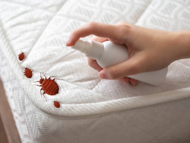 Best Pest Prevention Services  in Fairview, TN