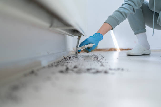Best Emergency Pest Control  in Fairview, TN