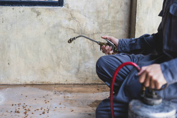 Best Rat Extermination Near Me  in Fairview, TN